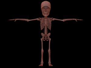 Cartoon Skeleton 3D Realistic 3D Model
