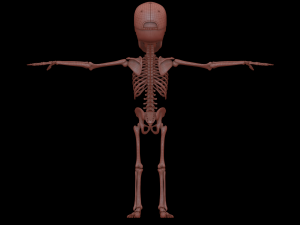 Cartoon Skeleton 3D Realistic 3D Model