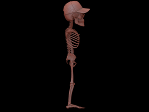 Cartoon Skeleton 3D Realistic 3D Model