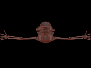Cartoon Skeleton 3D Realistic 3D Model