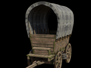 3D Medieval Carriage Model 3D