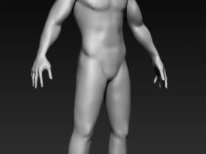 Mens basic mesh 3D Model