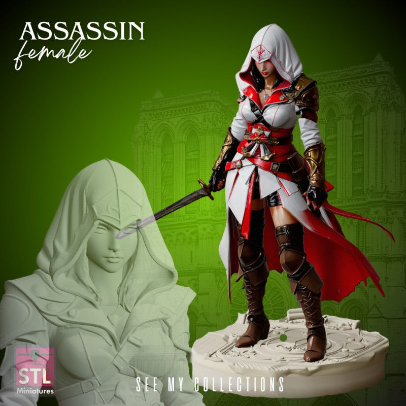 Assassin Heroine STL Detailed Female Warrior Sculpture Modelo de Impressão 3D .c4d .max .obj .3ds .fbx .stl .blend 