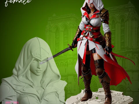 アサシンヒロイン STL 女戦士 細密彫刻 3Dプリントモデル