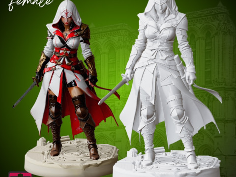 Assassin Heroine STL Detailed Female Warrior Sculpture Modelo de Impressão 3D