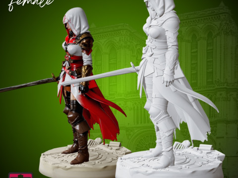 Assassin Heroine STL Detailed Female Warrior Sculpture Modelo de Impressão 3D
