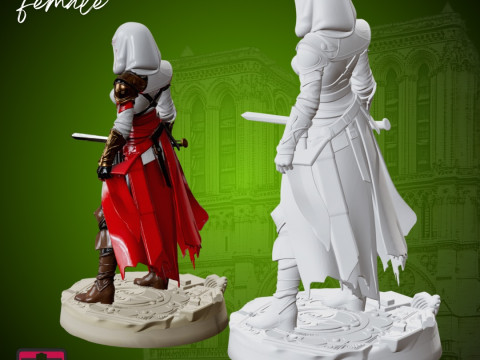 Assassin Heroine STL Detailed Female Warrior Sculpture Modelo de Impressão 3D