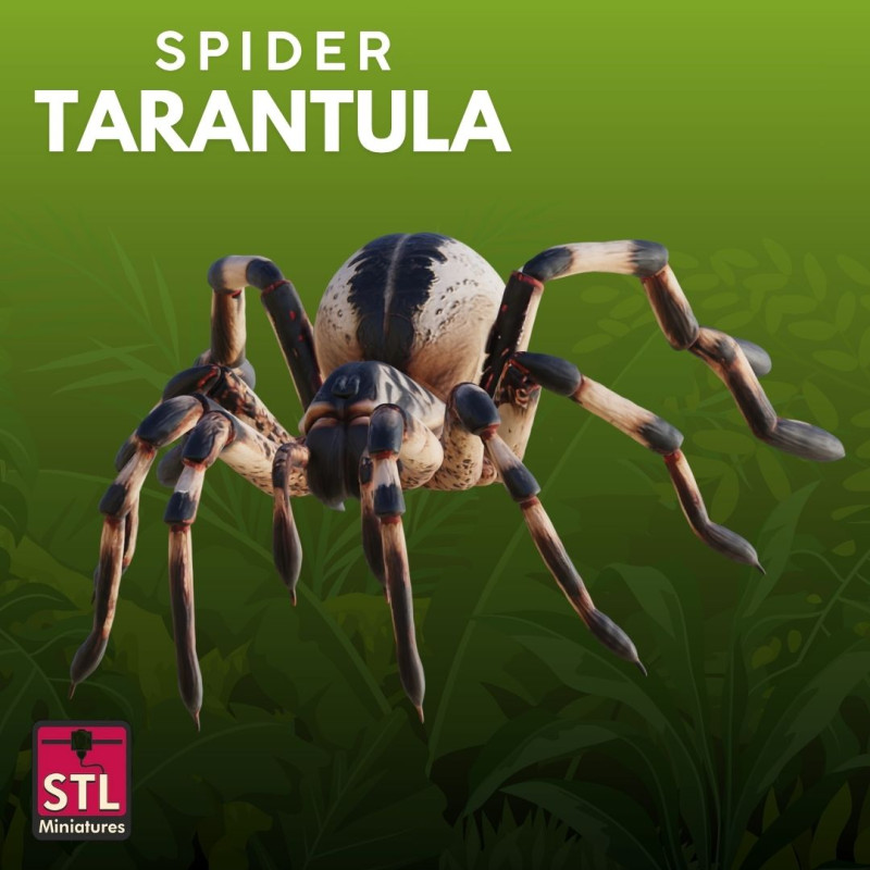 Tarantula STL Detailed 3D Принт Модель .c4d .max .obj .3ds .fbx .stl .blend 