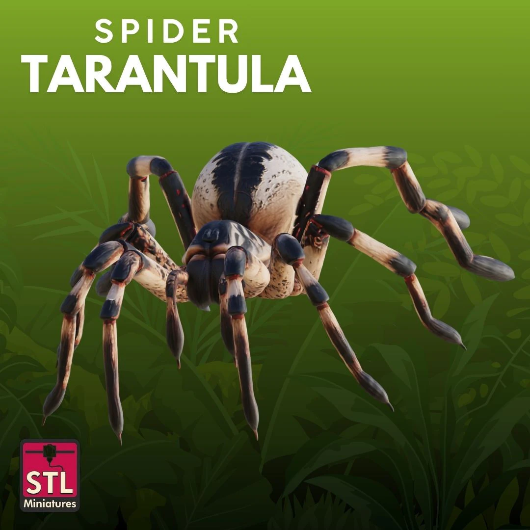 Tarantula STL Detailed 3D Print Model .c4d .max .obj .3ds .fbx .stl .blend