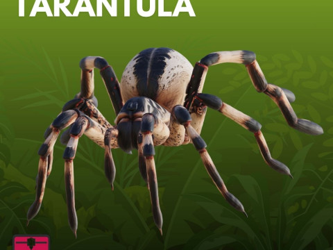Tarantula STL Detailed 3D Druckmodell