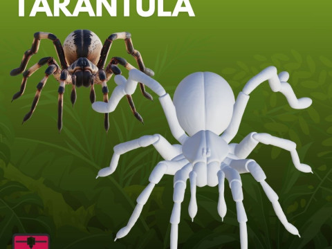 Tarantula STL Detailed 3D Принт Модель