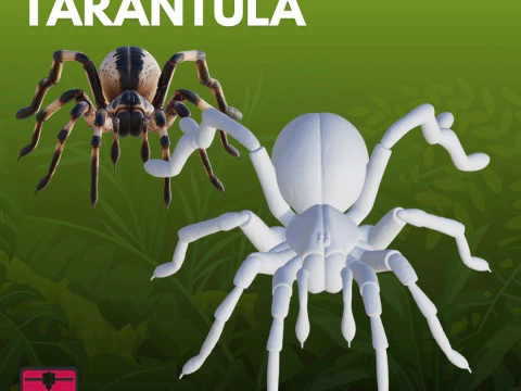 Tarantula STL Detailed 3D Print Model