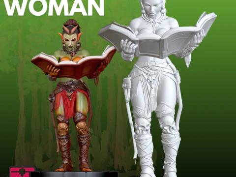 Elf fantasy Elven Warrior STL Fantasy 3D 3D Print Model