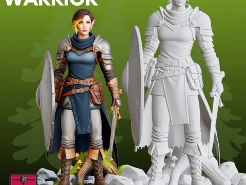 Elf Warrior STL Fantasy 3D Print Model