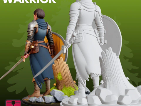 Elf Warrior STL Fantasy 3D Print Model