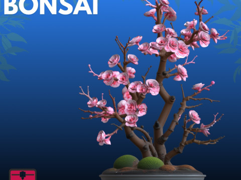 Bonsai Gül STL Sanatsal Doğa 3D Baskı Modeli