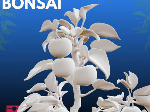 Bonsai fruit STL Artistic Nature 3D Print Model
