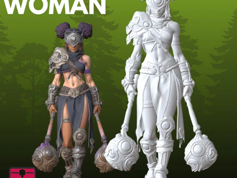 Warrior Woman STL Fantasy 3D Print Model