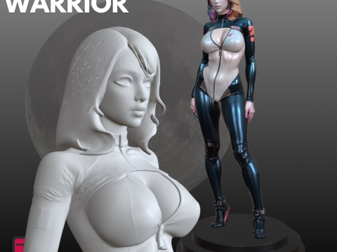 Chica piloto futurista STL Coleccionistas de ciencia ficción Modelo de impresión 3D