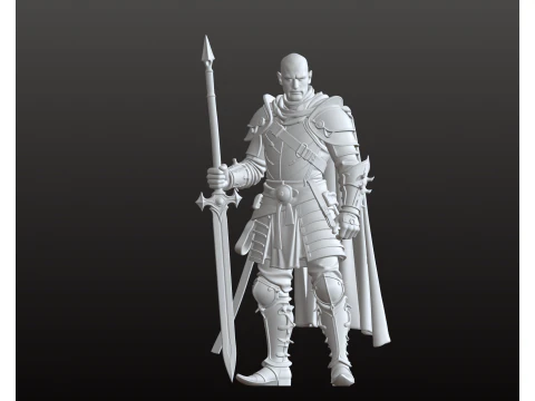 Elite Guard STL Masterfully Armed Sentinel 3D Print Model