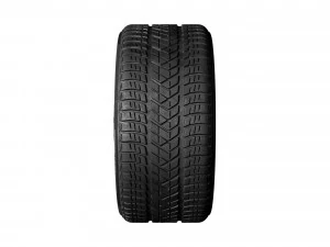 Tesla Model Y 21 Wheel and Winter Tire 3D Model