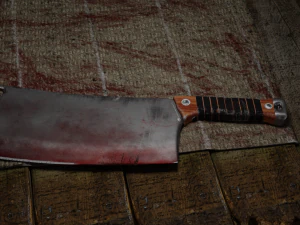 Butcher Knife 3D Model
