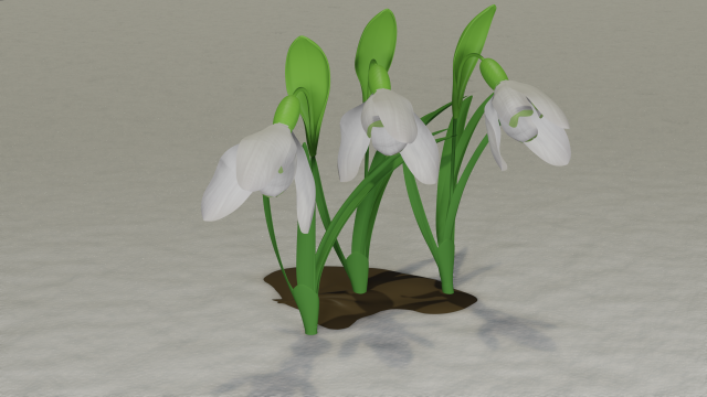 Snowdrops 3D Modell .c4d .max .obj .3ds .fbx .stl .blend 