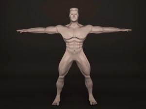 Menselijk lichaam 3D Model