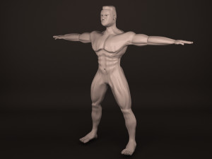 Human Body 3D Модель