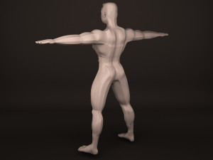 Human Body 3D Модель