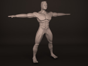 Human Body 3D Модель