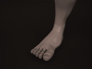 Human Body 3D Модель