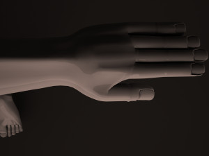 Human Body 3D Модель