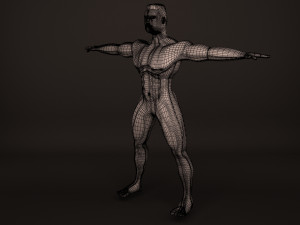 Human Body 3D Модель