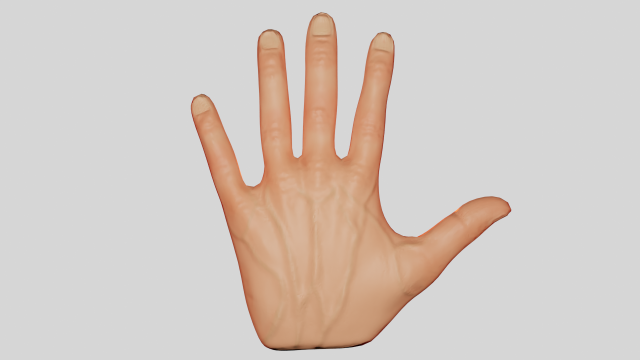 Hand 3D Model .c4d .max .obj .3ds .fbx .stl .blend 