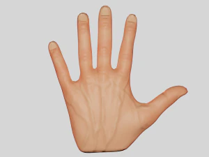 Mano Modello 3D