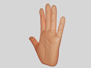 Hand 3D Model
