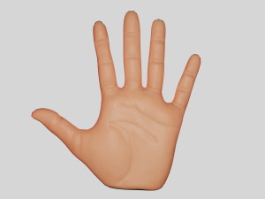 Hand 3D Model