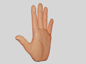 Hand 3D Model