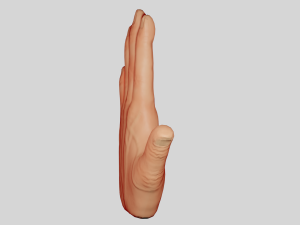 Hand 3D Model