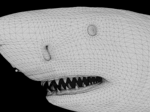 The Great White Shark - Animated and Rigged 3D Model