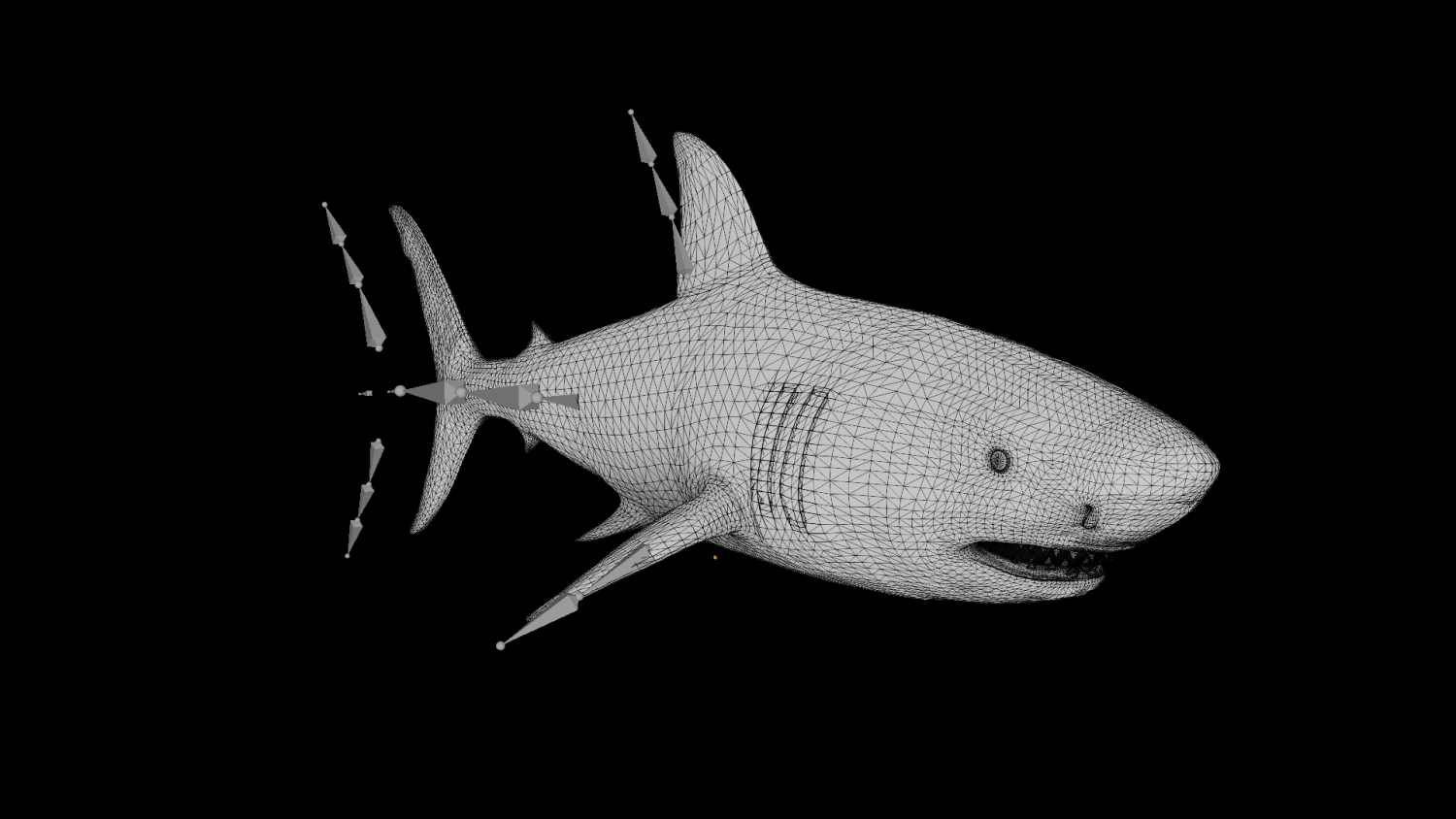 Great White Shark NO Rigged in Blender | 3D model