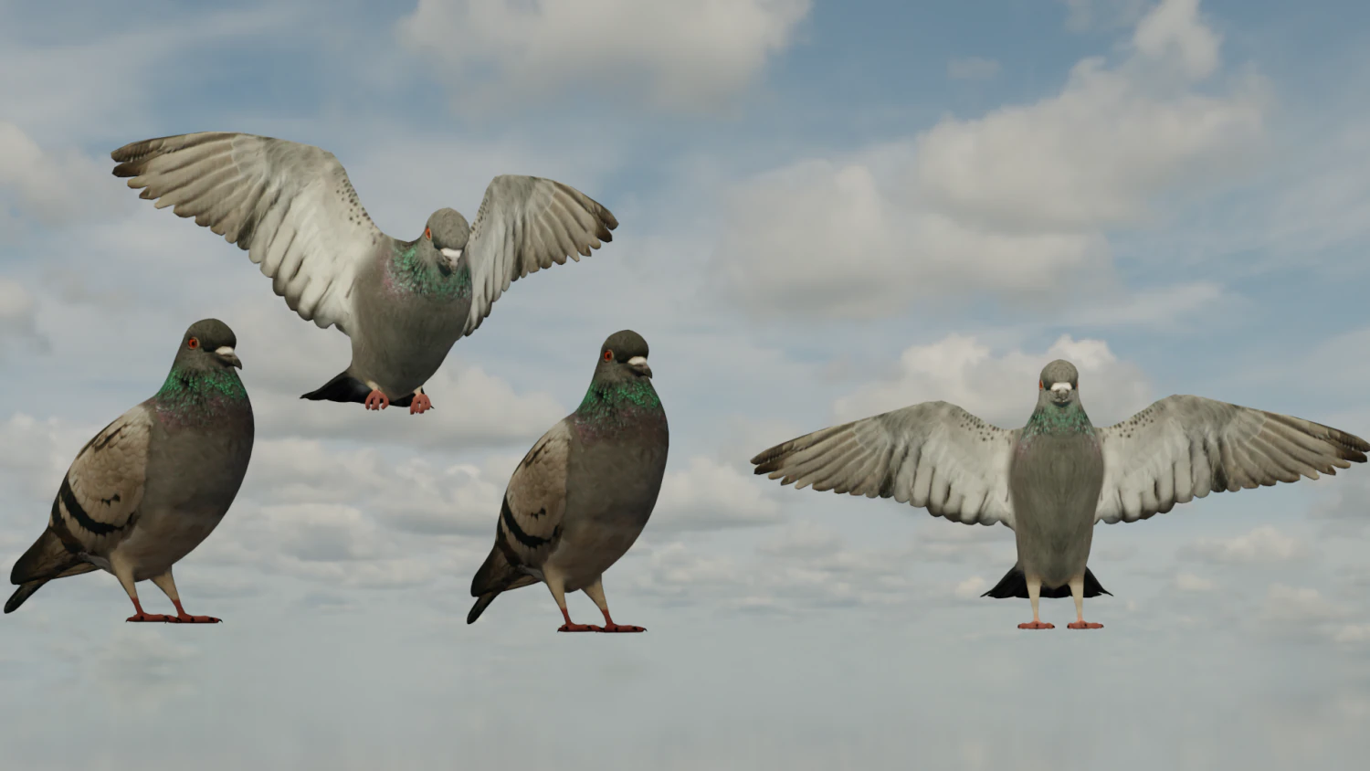 Pigeons 3D Model .c4d .max .obj .3ds .fbx .stl .blend 