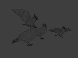 Pigeons 3D Model