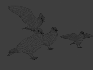 Pigeons 3D Model