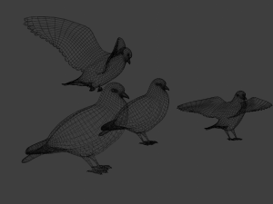 Pigeons 3D Model