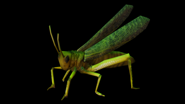 Grasshopper Animated 3D Модель .c4d .max .obj .3ds .fbx .stl .blend 