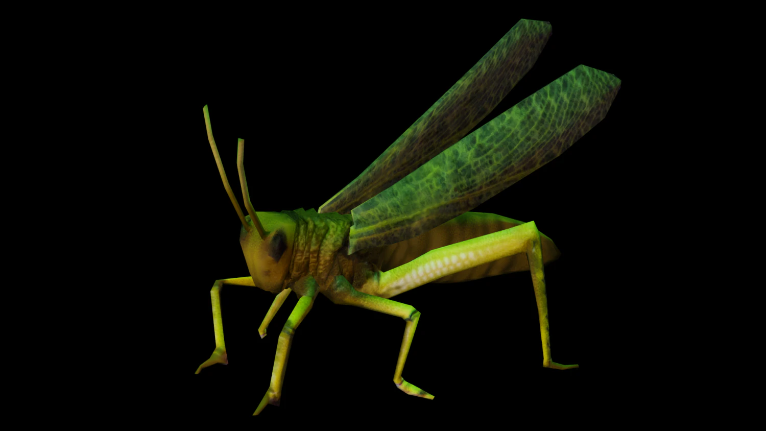 Grasshopper Animated 3D Model .c4d .max .obj .3ds .fbx .stl .blend