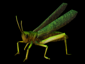 Grasshopper Animated 3D Model