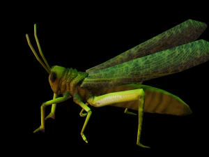 Grasshopper Animated 3D Model